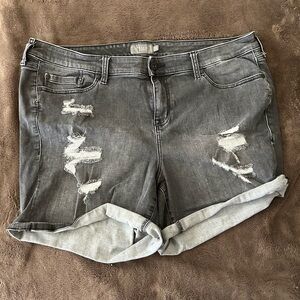 Torrid Gray Distressed Denim Shorts sz22